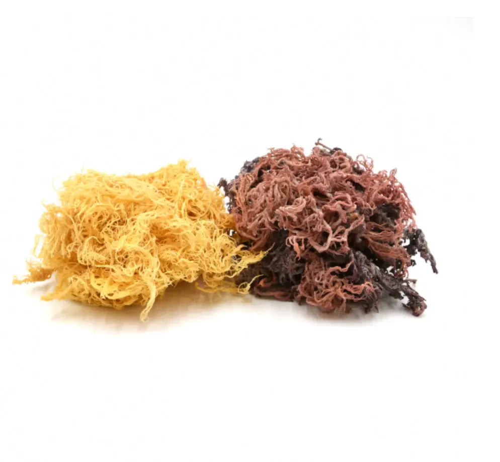 Sea Moss Products